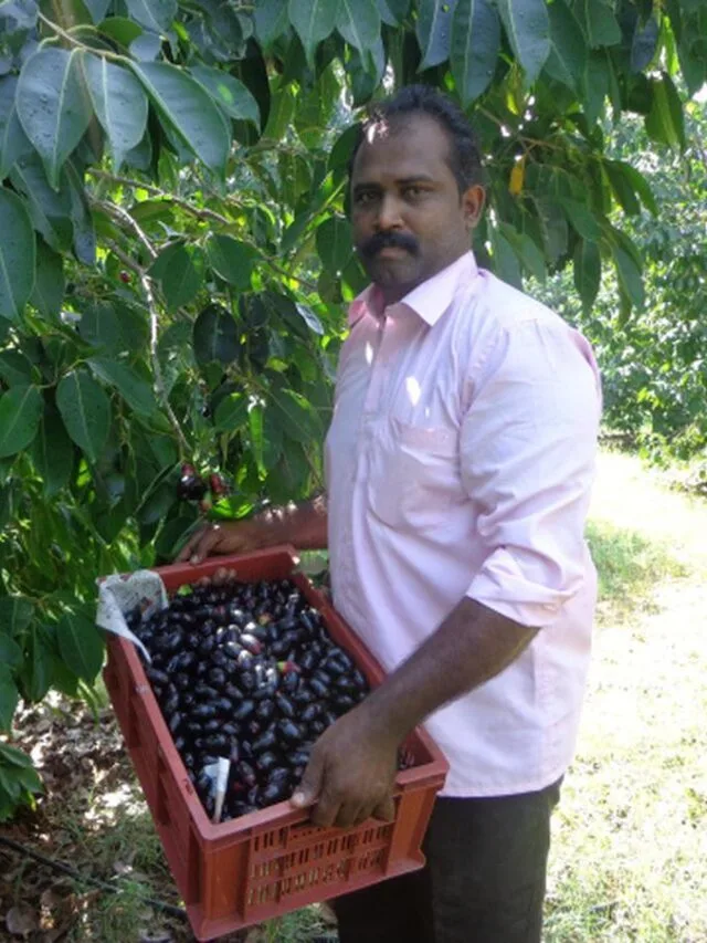 આ ખેતી કરવાથી થશે 20 લાખની આવક.!
