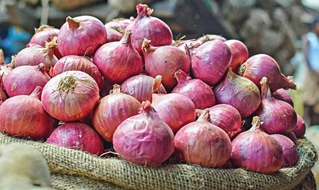 GBB onion market 8