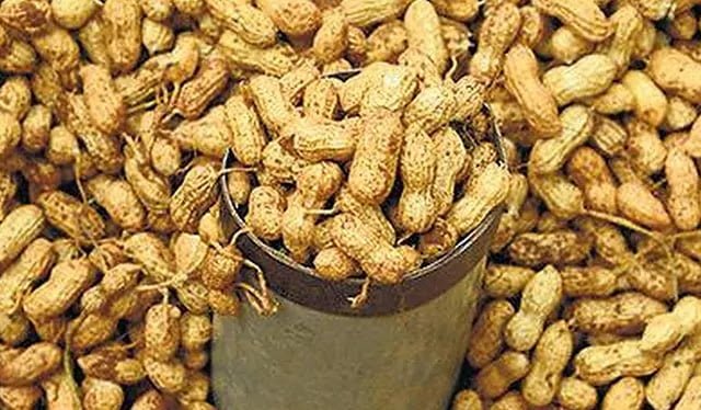 GBB peanut market 19
