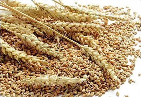 GBB wheat market 4