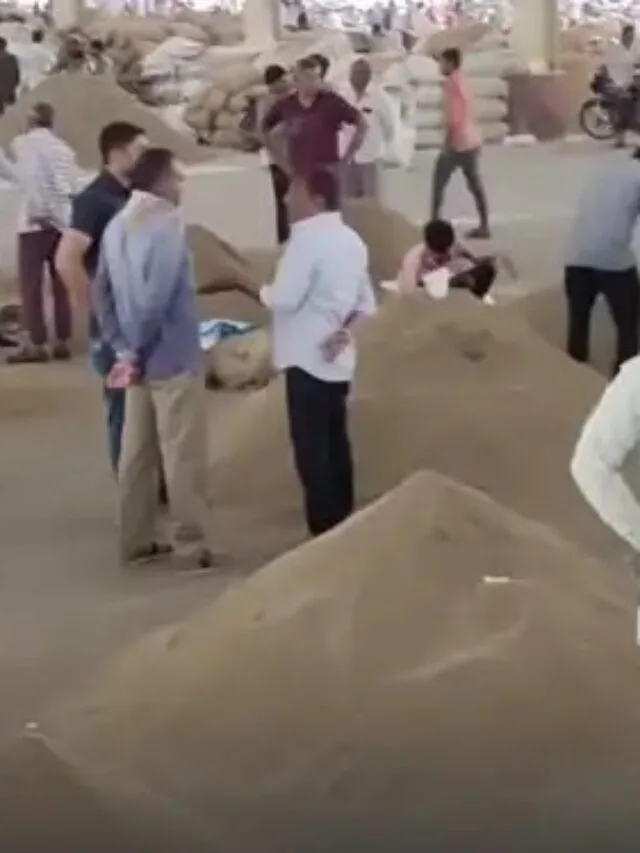 નવા વર્ષે જીરુંના ભાવમાં અફડાતફડી જોવા મળશે