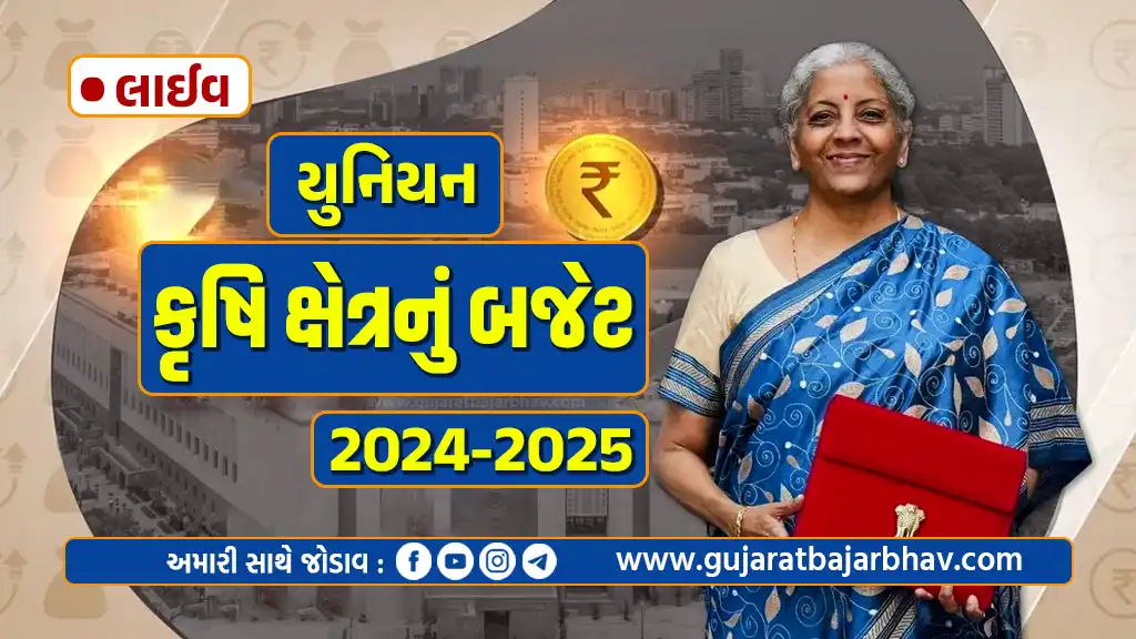 Union Budget 2024: યુનિયન બજેટ 2024 કૃષિ ક્ષેત્રે ખેડૂતો માટે કેટલી સહાય