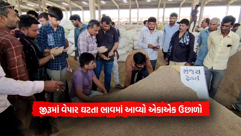 commodity bajar samachar of Cumin prices hike due to cumin trade down in Gujarat