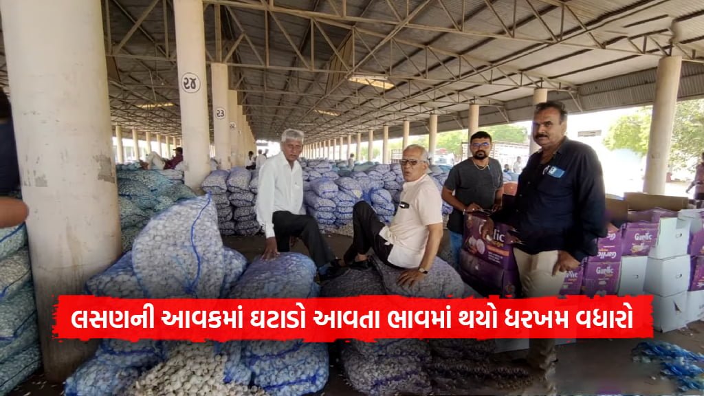 garlic price increased due to garlic income down in Gujarat