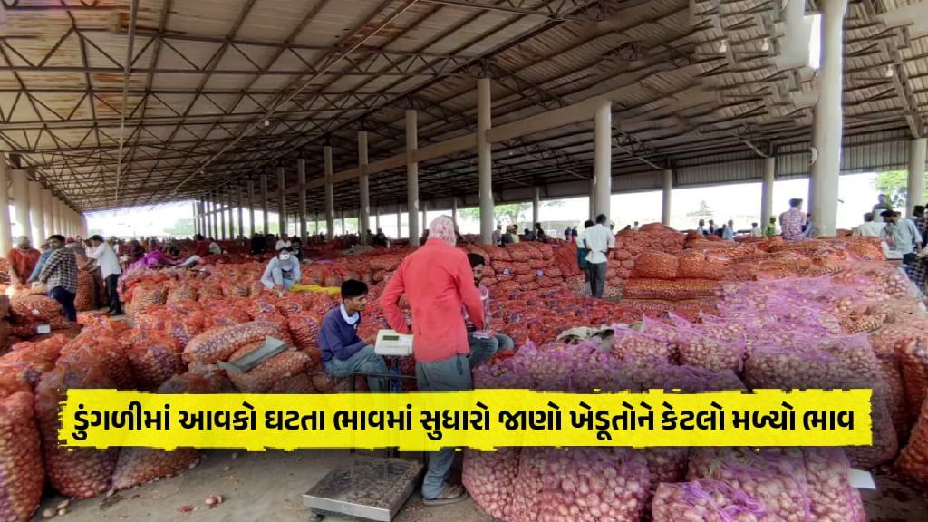 onion price hike in gujarat due to onion income decrease