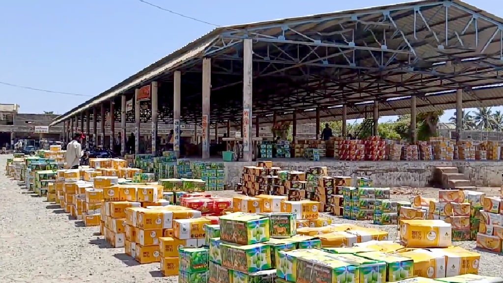 Kesar Mango price today in Gujarat Apmc fruit market yard kesar keri rates