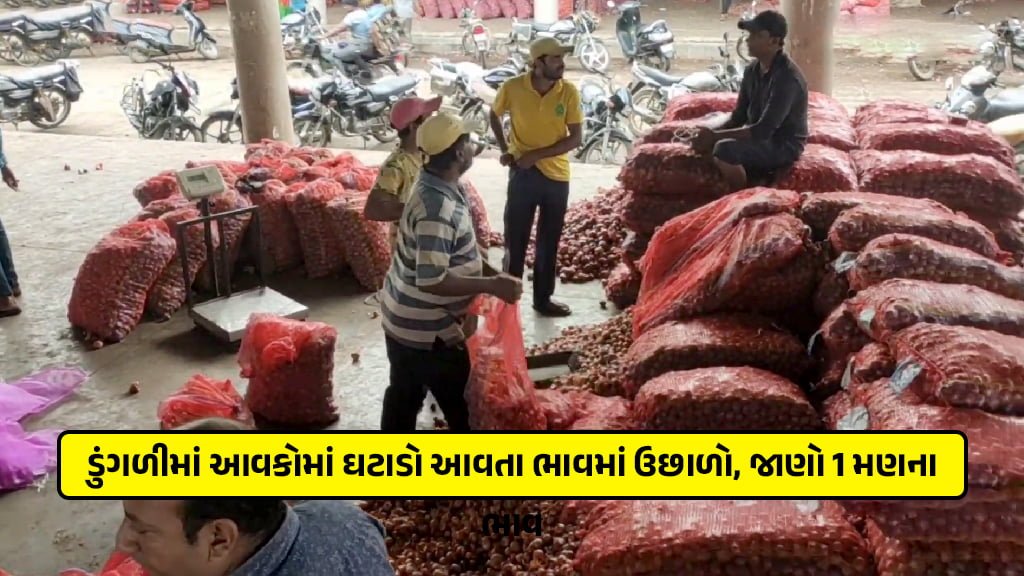 Onion price today in gujarat rise due to decline in dungali income