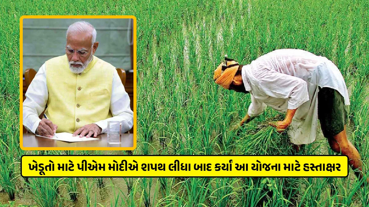 after PM Modi Oath Ceremony released 17th-installment-of-Pradhan Mantri Kisan Samman Nidhi