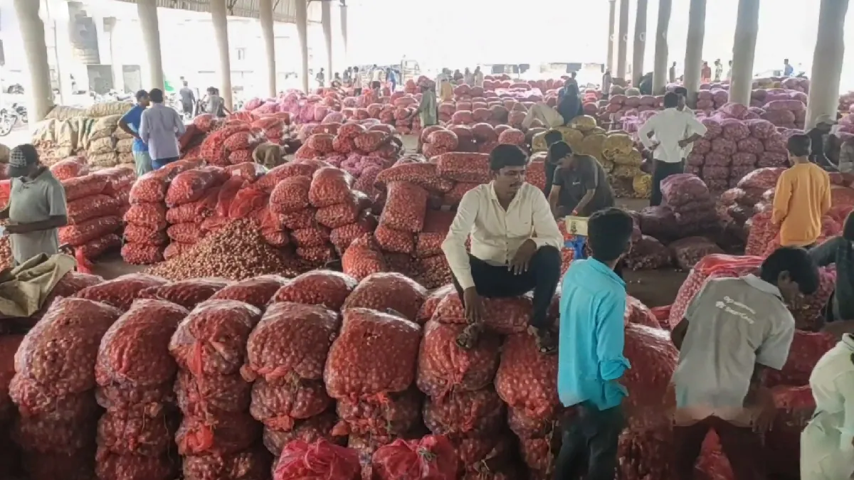 onion price today in onion price up due to gujarat demand and supply