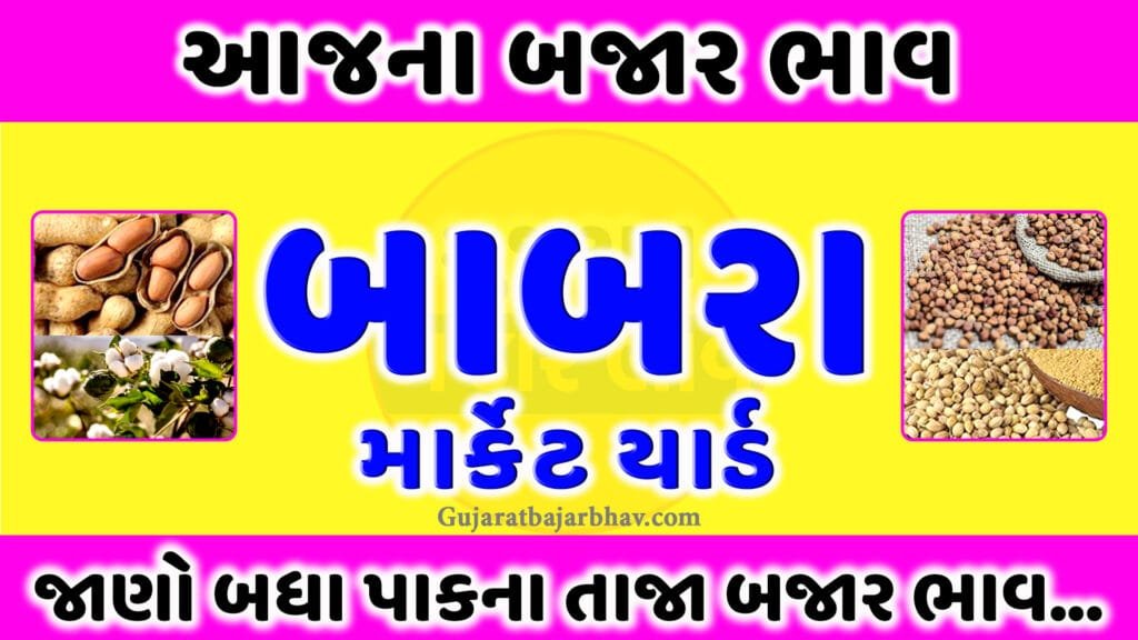 APMC Babra market yard price | આજના બાબરા માર્કેટયાર્ડ બજાર ભાવ | aaj na bajar bhav