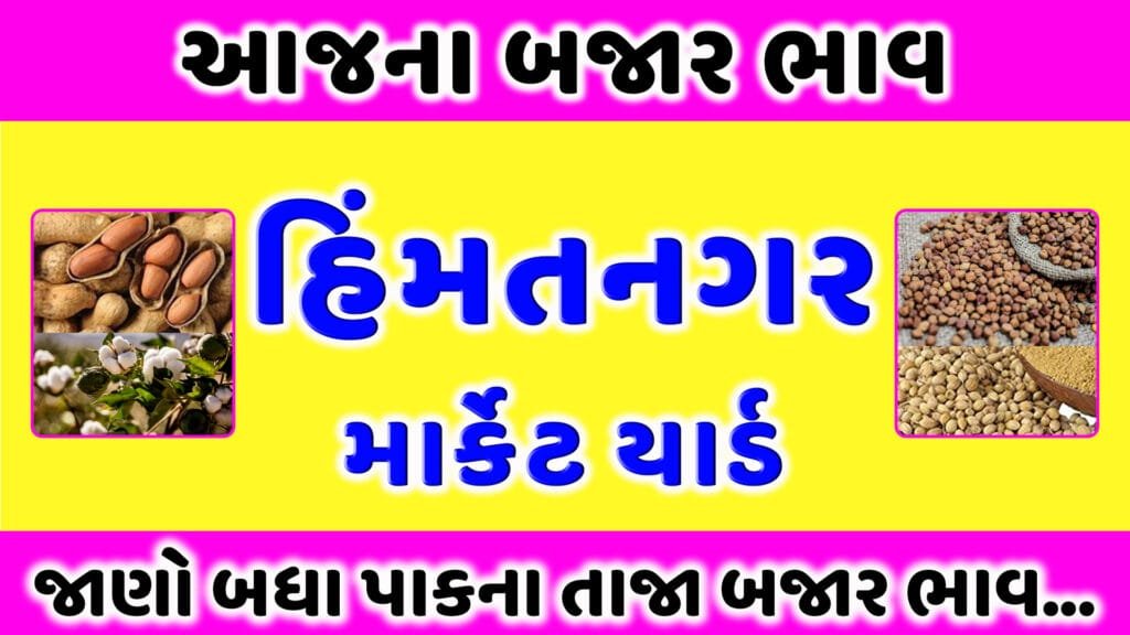 હિંમતનગર માર્કેટ યાર્ડ | આજના બજાર ભાવ | APMC Himatnagar Today Rate | aaj na bajar bhav