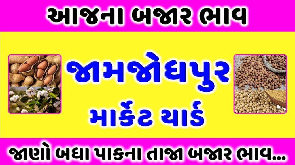 જામજોધપુર માર્કેટ યાર્ડ ભાવ | આજના બજાર ભાવ | Jamjodhpur APMC Rate Today | aaj na bajar bhav