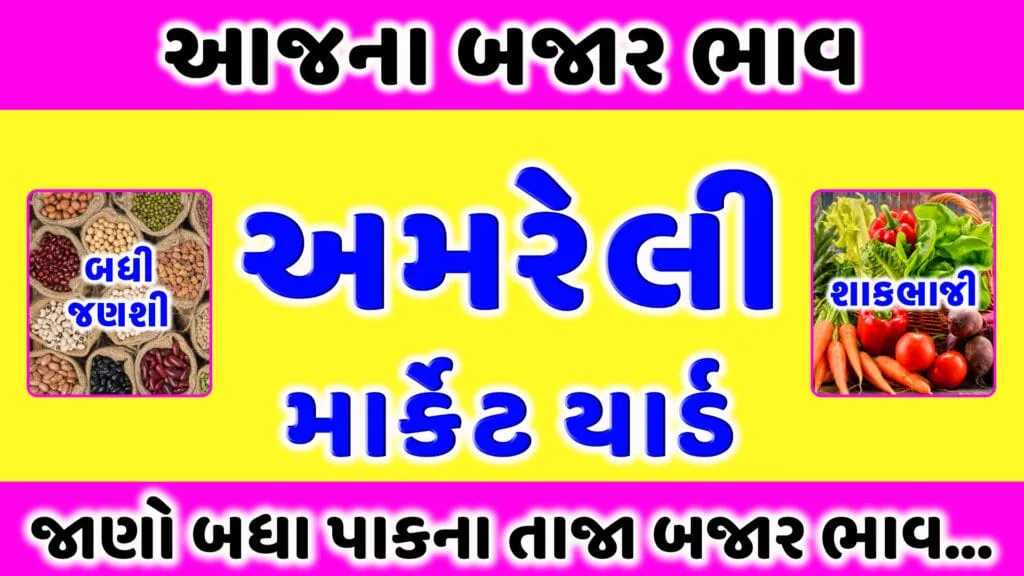 અમરેલી માર્કેટ યાર્ડ | આજના તાજા બજાર ભાવ | APMC Amreli Market Yard | aaj na bajar bhav