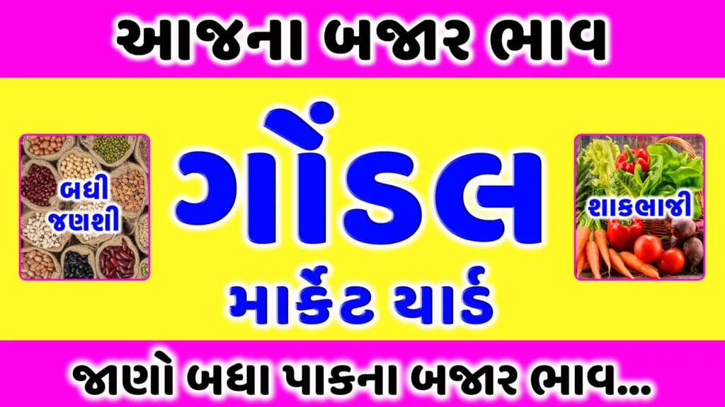 APMC Gondal marketing yard bhav today aaj na bhav | ગોંડલ માર્કેટિંગ યાર્ડ આજના બજાર ભાવ