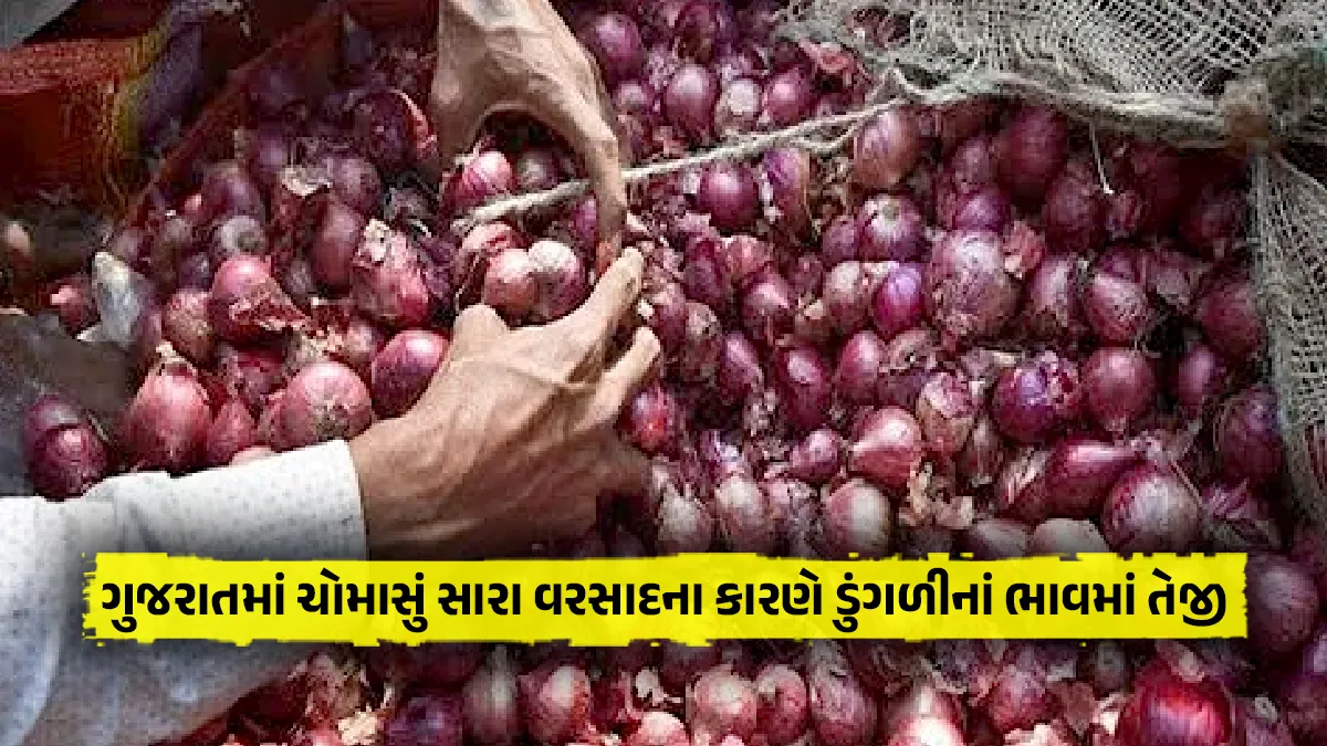 Onion price today expected to rise due to good monsoon rains in Gujarat