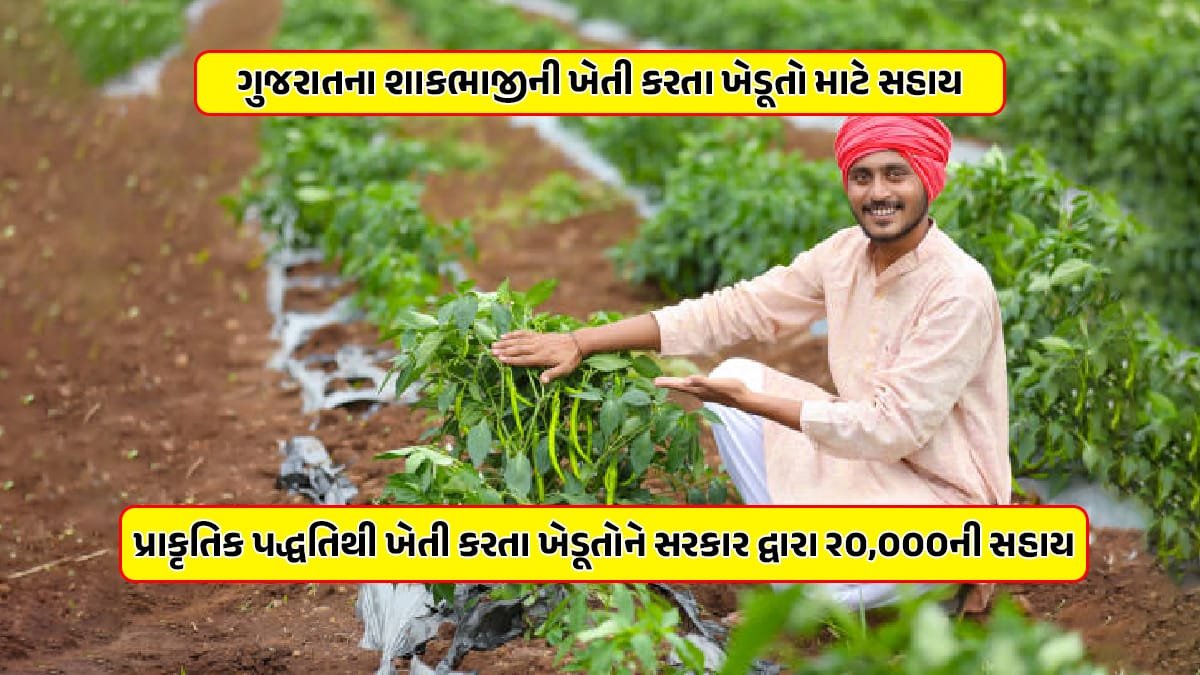 Gujarat government new scheme for farmer of natural vegetables farming