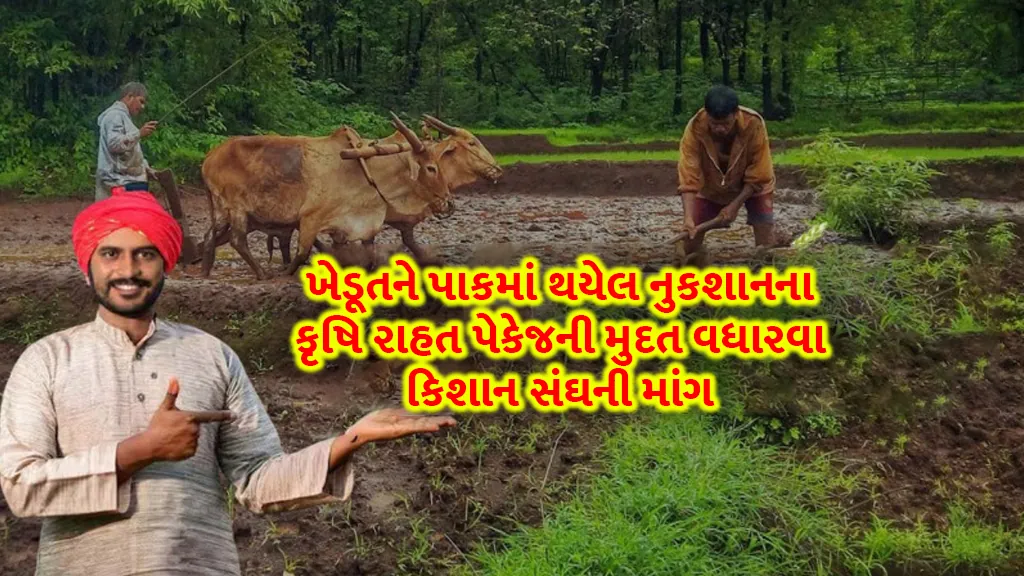 Kishan Sangh demands extension of agricultural relief package for crop loss to Gujarat farmers