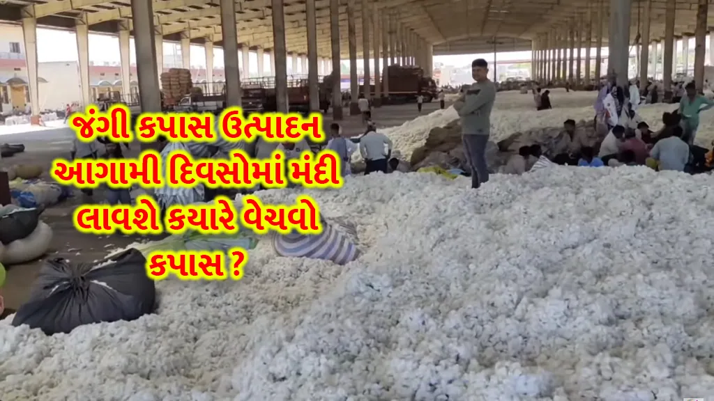 Cotton price today recession cotton production huge in America, Brazil and China