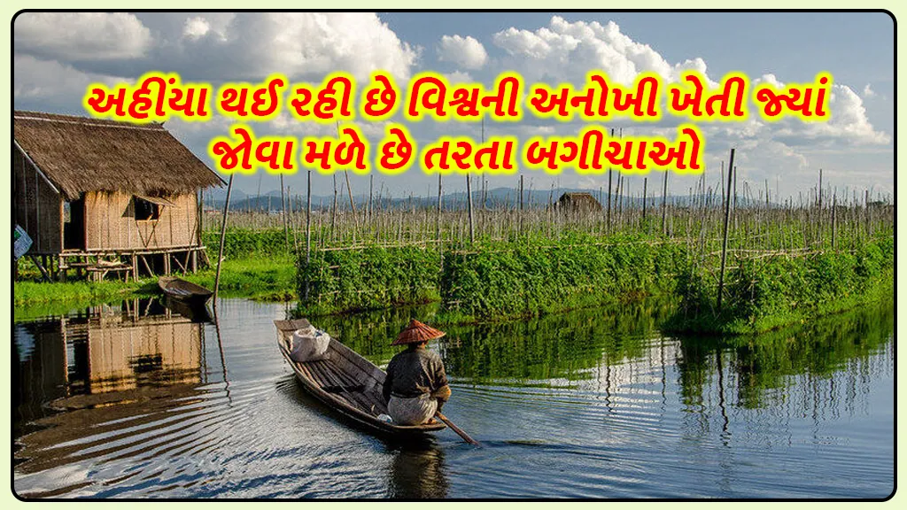 Floating farming gardens of Bangladesh