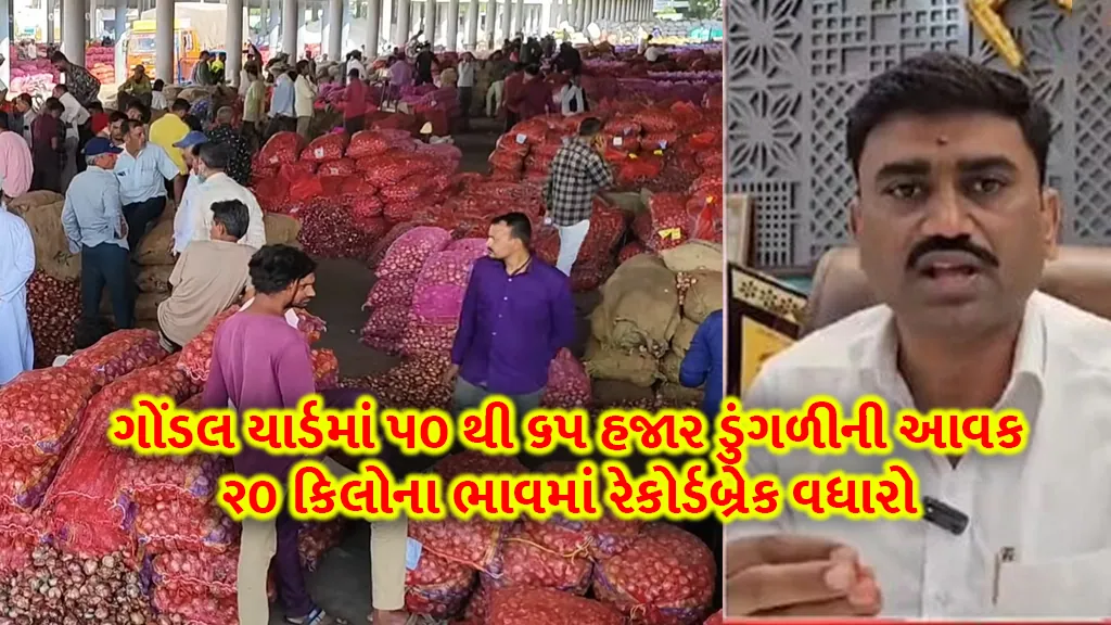 Onion price today in Gondal saw a record-breaking increase in the price of 50 to 65 thousand of bags onion of 20 kg