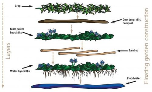 floating garden agricultural practices