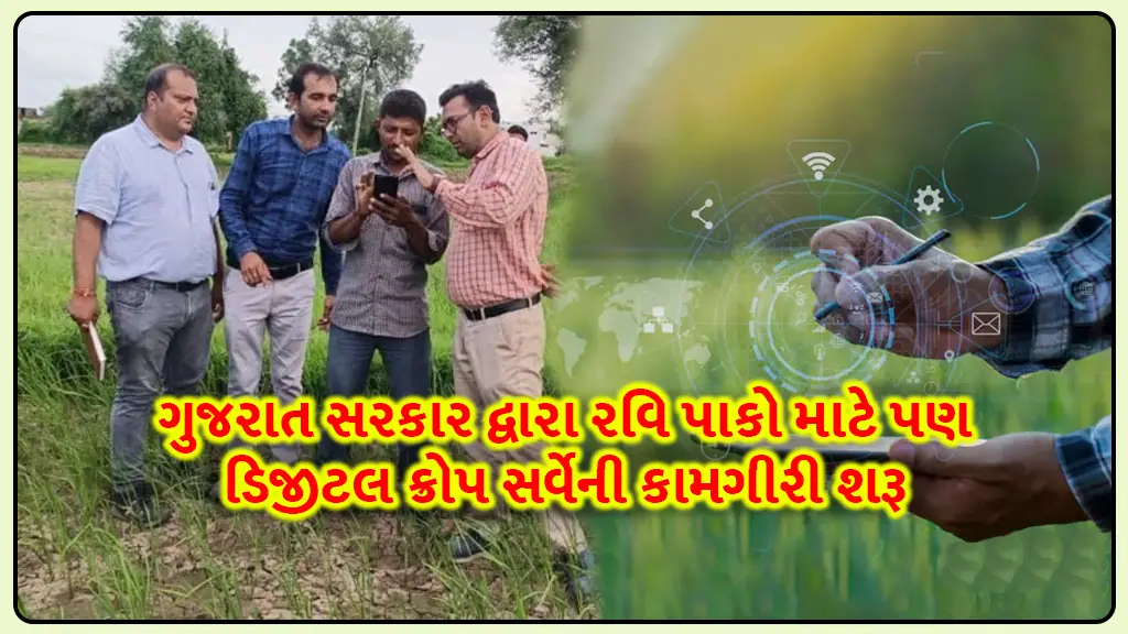 Gujarat state government started digital crop survey for Rabi season