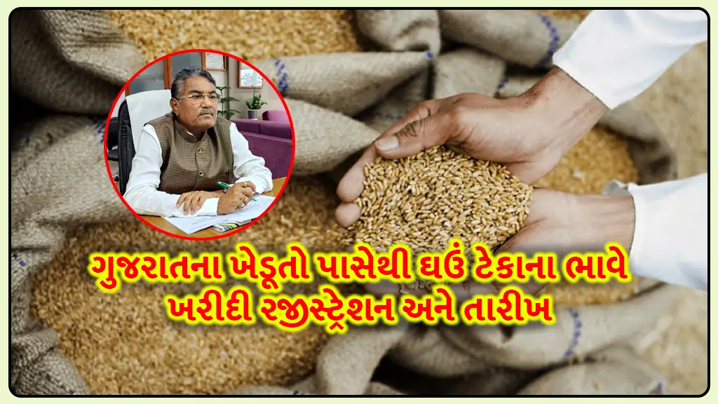 gujarat farmer minimum support price of wheat tekana bhav registration and date