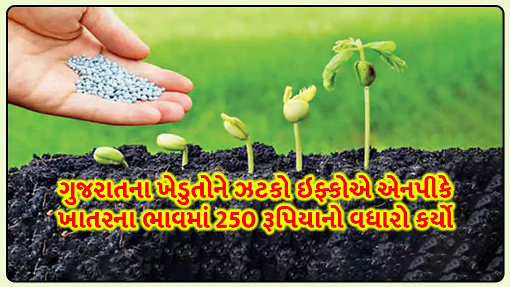 Gujarat IFFCO npk chemical Fertilizer price Rs 250 hike to farmers